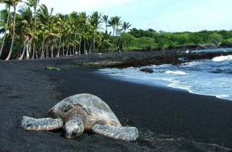 10 unique beaches in the world with black sand