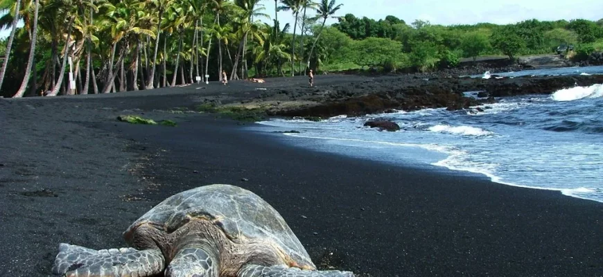 10 уникальных пляжей в мире с черным песком